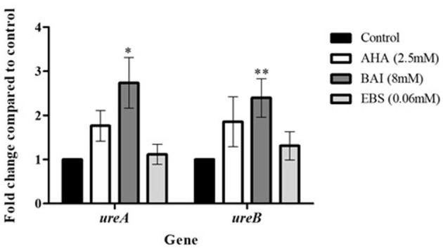 https://cdn.ncbi.nlm.nih.gov/pmc/blobs/fad2/11604635/ec25623d6923/fmicb-15-1464484-g0006.jpg