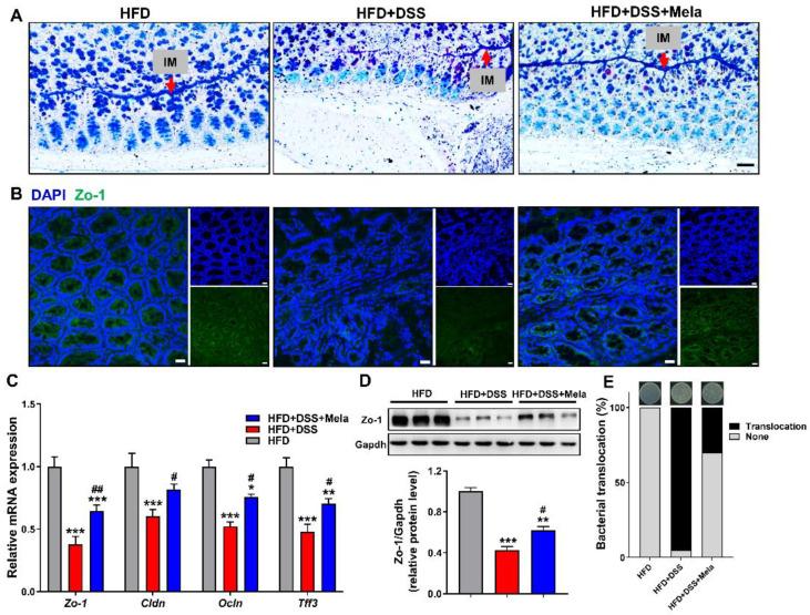 https://cdn.ncbi.nlm.nih.gov/pmc/blobs/fad3/8399719/0b6c25d28eea/pharmaceuticals-14-00822-g005.jpg