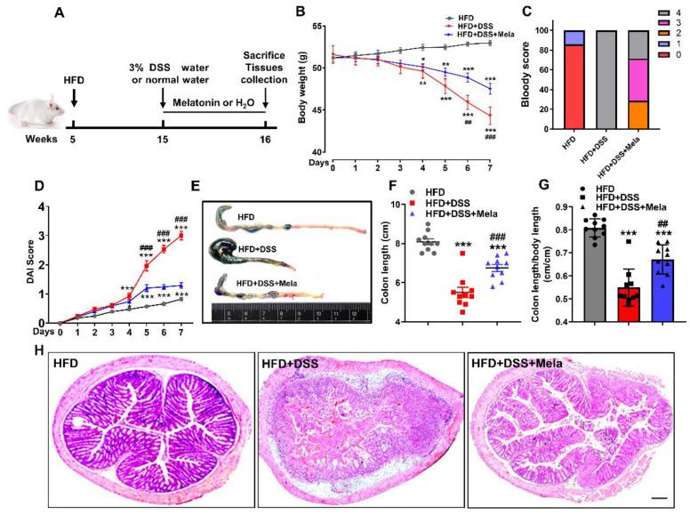 https://cdn.ncbi.nlm.nih.gov/pmc/blobs/fad3/8399719/d52444805214/pharmaceuticals-14-00822-g002.jpg