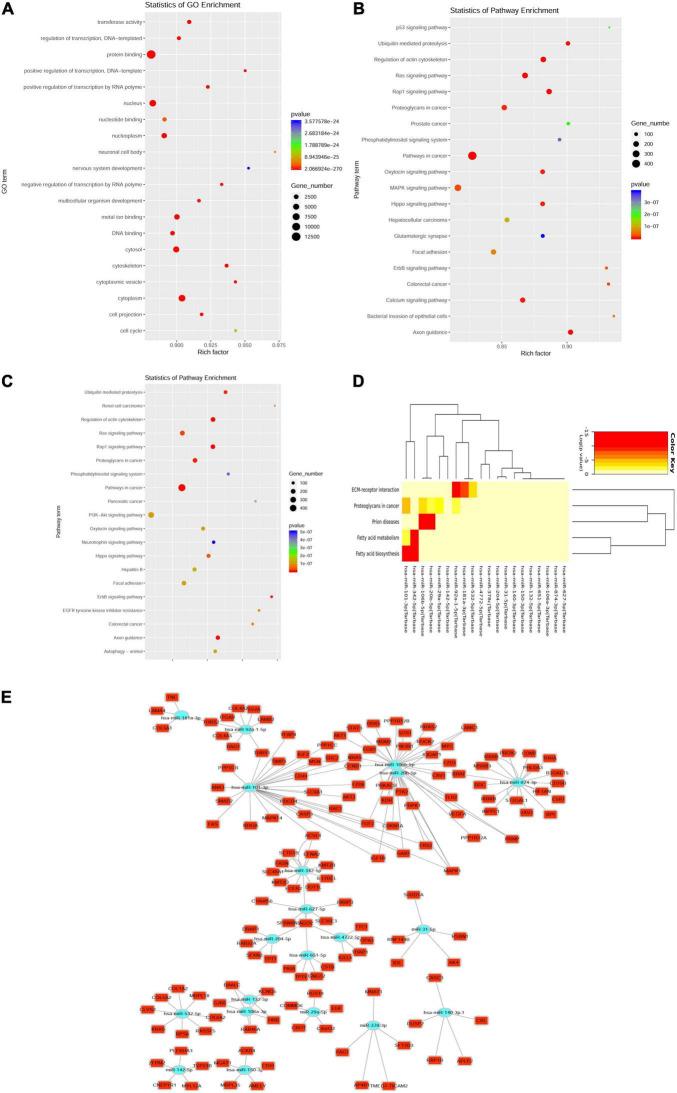 https://cdn.ncbi.nlm.nih.gov/pmc/blobs/fad3/9240753/aaa351bba96c/fcvm-09-848812-g003.jpg