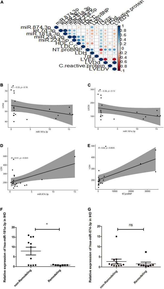 https://cdn.ncbi.nlm.nih.gov/pmc/blobs/fad3/9240753/ad9f3da0968c/fcvm-09-848812-g005.jpg