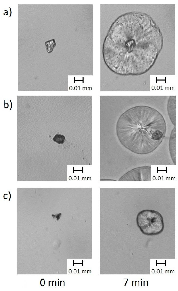 https://cdn.ncbi.nlm.nih.gov/pmc/blobs/fad5/7070590/03ff11fefc11/molecules-25-00864-g007.jpg