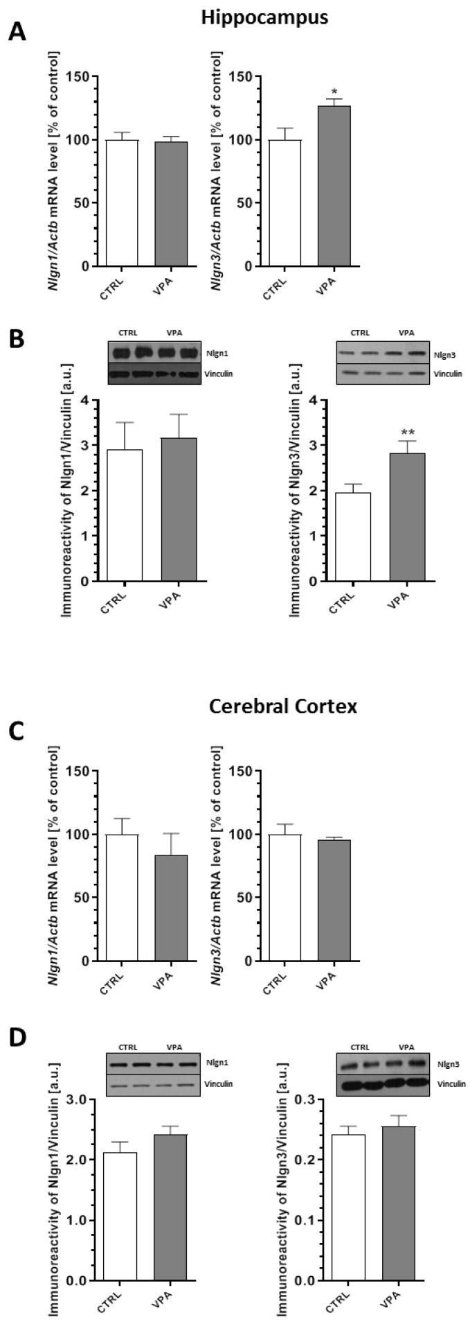 https://cdn.ncbi.nlm.nih.gov/pmc/blobs/fadc/7279050/10b7c36585ab/ijms-21-03576-g006.jpg