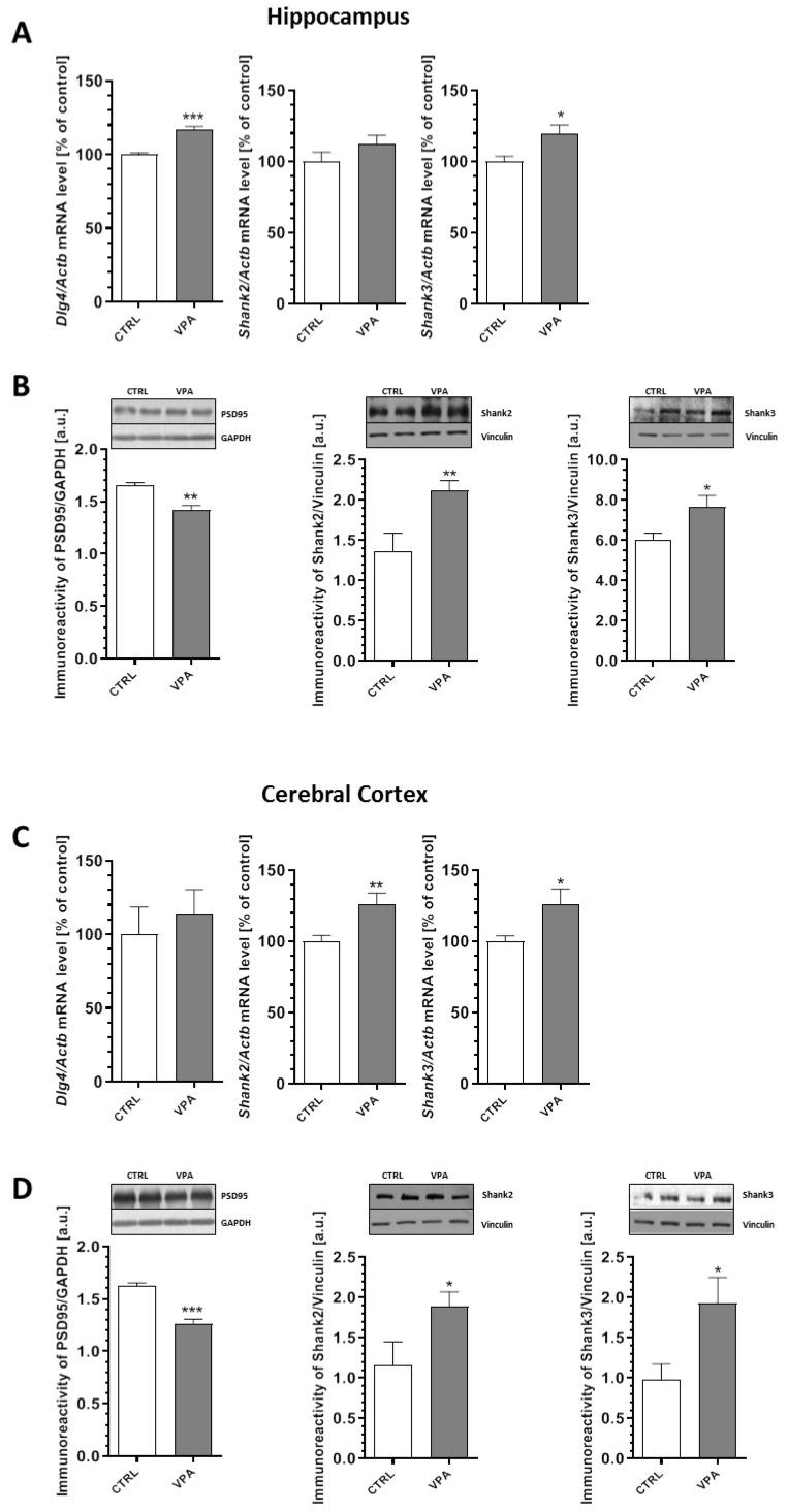 https://cdn.ncbi.nlm.nih.gov/pmc/blobs/fadc/7279050/174eb94a53ae/ijms-21-03576-g005.jpg