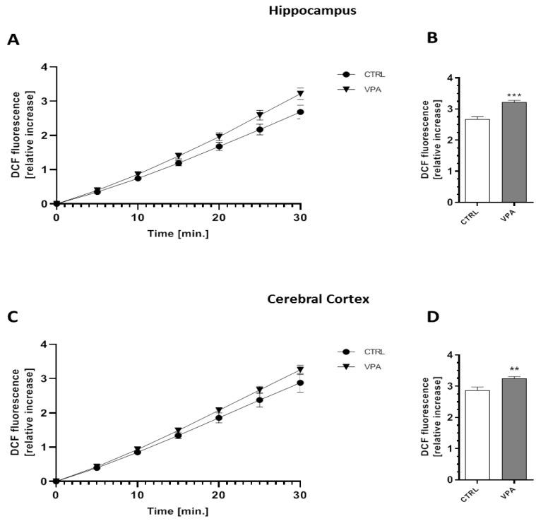 https://cdn.ncbi.nlm.nih.gov/pmc/blobs/fadc/7279050/4f3ad79eef54/ijms-21-03576-g008.jpg