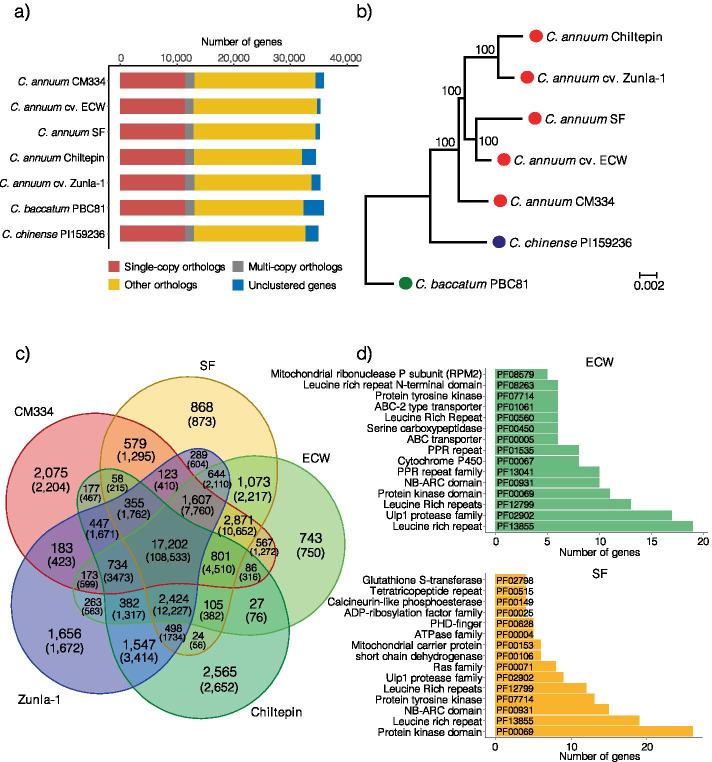 https://cdn.ncbi.nlm.nih.gov/pmc/blobs/fadc/8166135/40bef0cc5636/12870_2021_3057_Fig1_HTML.jpg