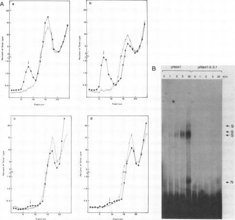 https://cdn.ncbi.nlm.nih.gov/pmc/blobs/fade/338756/d606e6ee313e/nar00162-0104-a.jpg