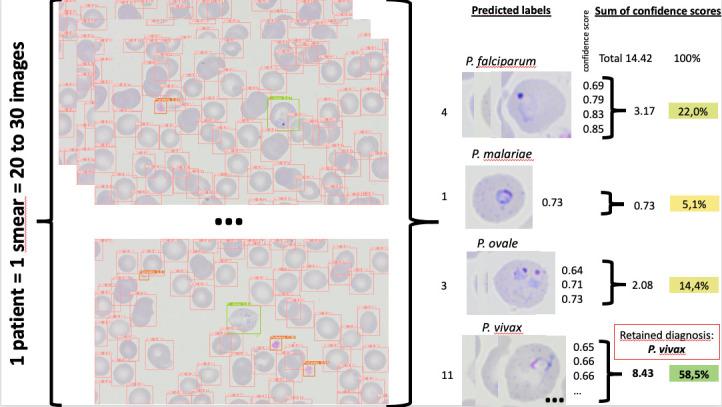 https://cdn.ncbi.nlm.nih.gov/pmc/blobs/fadf/10846087/fd7994fd5c31/spectrum.01440-23.f001.jpg