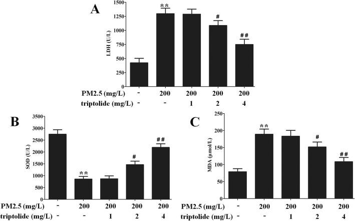 https://cdn.ncbi.nlm.nih.gov/pmc/blobs/fae0/6998203/d49bcb5980d3/12860_2020_248_Fig5_HTML.jpg