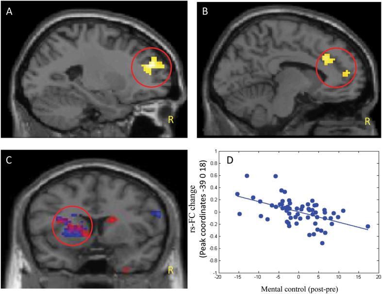 https://cdn.ncbi.nlm.nih.gov/pmc/blobs/fae1/5294576/1b11fa63cc85/srep41581-f1.jpg