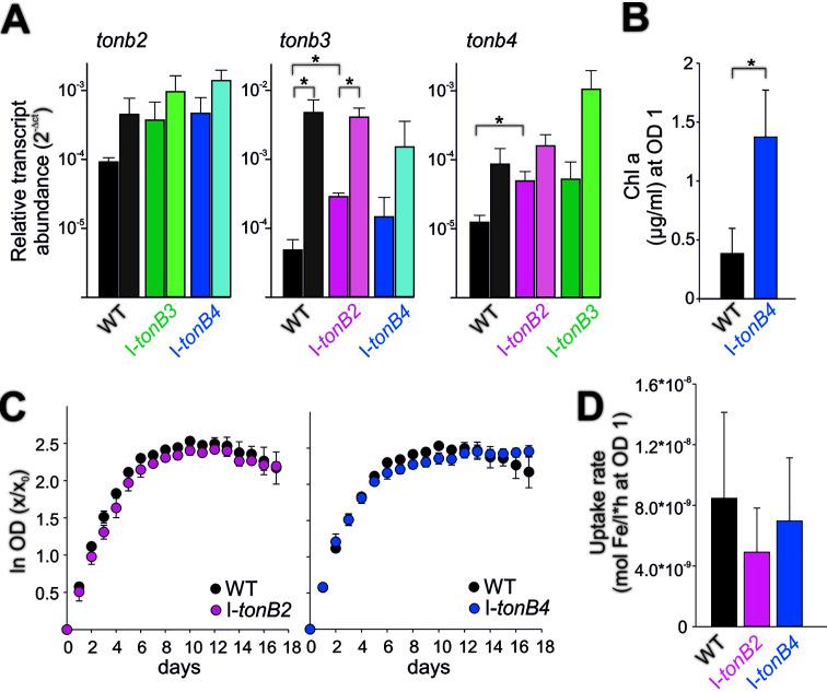 https://cdn.ncbi.nlm.nih.gov/pmc/blobs/fae2/8597729/00d65038dc84/msphere.00214-21-f005.jpg
