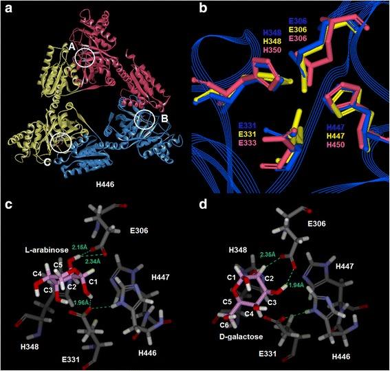 https://cdn.ncbi.nlm.nih.gov/pmc/blobs/fae3/4929721/faa5c31e9a6a/12896_2016_286_Fig6_HTML.jpg