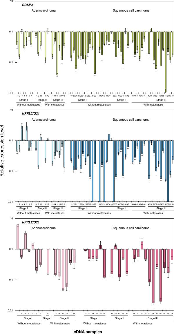 https://cdn.ncbi.nlm.nih.gov/pmc/blobs/fae4/2841140/8198fdec8496/1471-2407-10-75-2.jpg