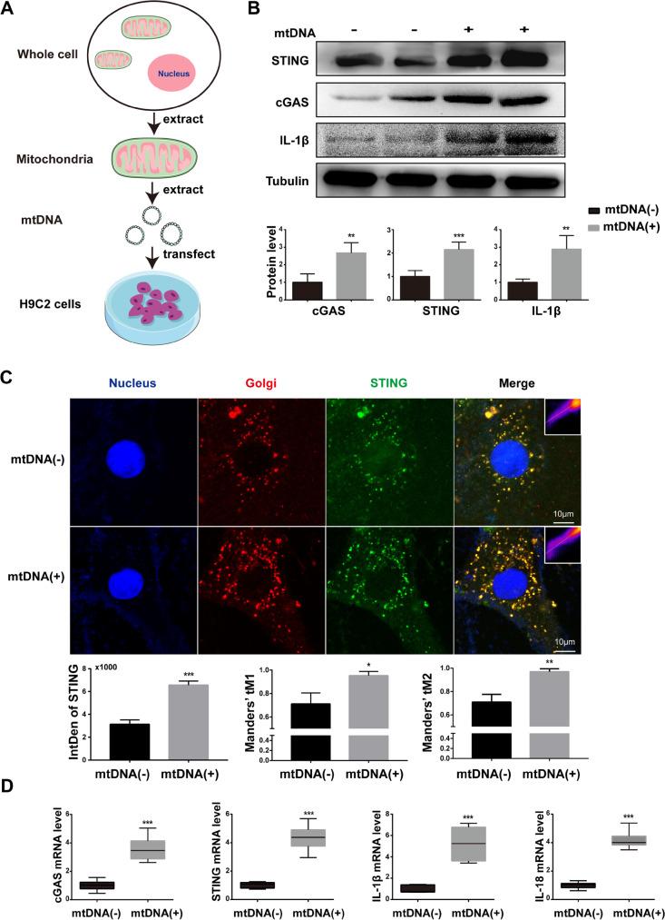 https://cdn.ncbi.nlm.nih.gov/pmc/blobs/fae8/10042943/13f0eb440880/10565_2021_9692_Fig6_HTML.jpg