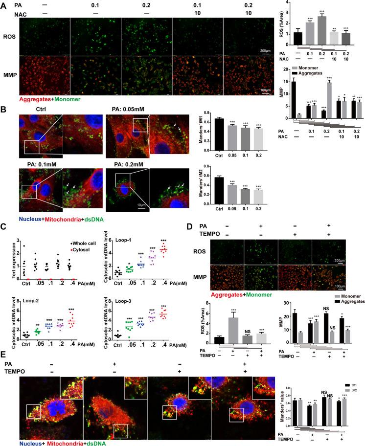 https://cdn.ncbi.nlm.nih.gov/pmc/blobs/fae8/10042943/4b3944435edf/10565_2021_9692_Fig4_HTML.jpg