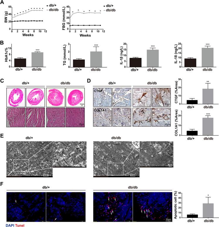 https://cdn.ncbi.nlm.nih.gov/pmc/blobs/fae8/10042943/a17200c53728/10565_2021_9692_Fig1_HTML.jpg