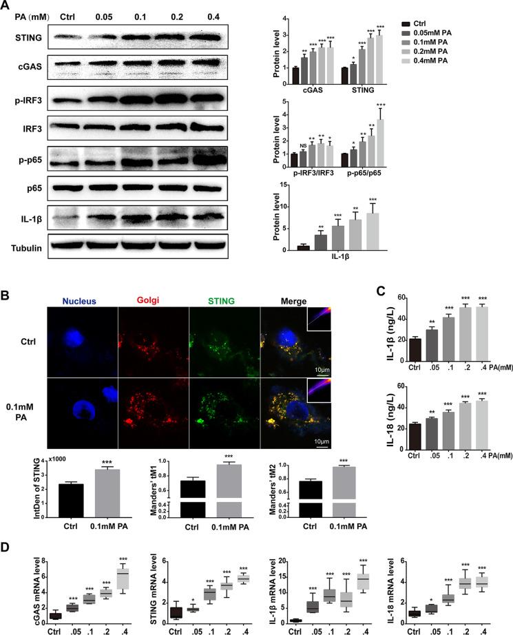 https://cdn.ncbi.nlm.nih.gov/pmc/blobs/fae8/10042943/b336344c9d59/10565_2021_9692_Fig5_HTML.jpg
