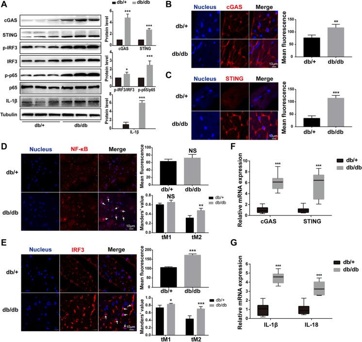https://cdn.ncbi.nlm.nih.gov/pmc/blobs/fae8/10042943/f55849dcffec/10565_2021_9692_Fig3_HTML.jpg