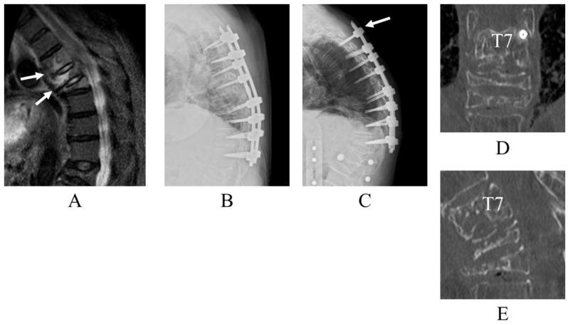 https://cdn.ncbi.nlm.nih.gov/pmc/blobs/fae9/11520589/0cc218c56b30/12891_2024_7993_Fig5_HTML.jpg