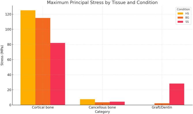 https://cdn.ncbi.nlm.nih.gov/pmc/blobs/faea/12345125/53ac3651029b/13005_2025_537_Fig4_HTML.jpg