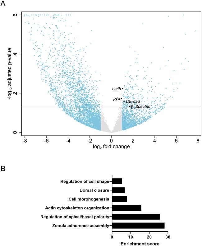 https://cdn.ncbi.nlm.nih.gov/pmc/blobs/faea/8759813/8ba7ebaf930d/jkab067f2.jpg
