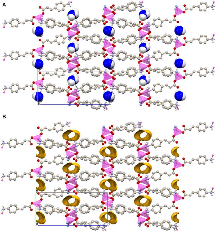 https://cdn.ncbi.nlm.nih.gov/pmc/blobs/faeb/11260639/70fb01d9e556/fchem-12-1430457-g003.jpg