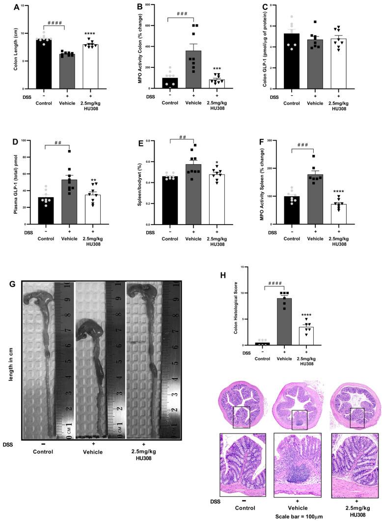 https://cdn.ncbi.nlm.nih.gov/pmc/blobs/faed/11640522/35046d28d3b2/cells-13-02013-g007.jpg