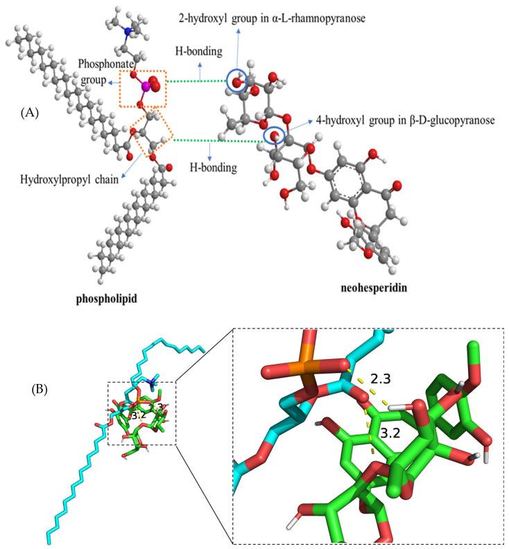 https://cdn.ncbi.nlm.nih.gov/pmc/blobs/faee/12157842/09c6ffe790e7/nanomaterials-15-00862-g003.jpg