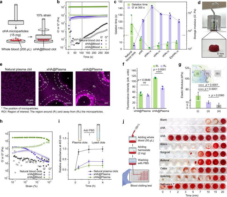 https://cdn.ncbi.nlm.nih.gov/pmc/blobs/faf1/12008190/59ed7cbc9ffe/41467_2025_58204_Fig2_HTML.jpg