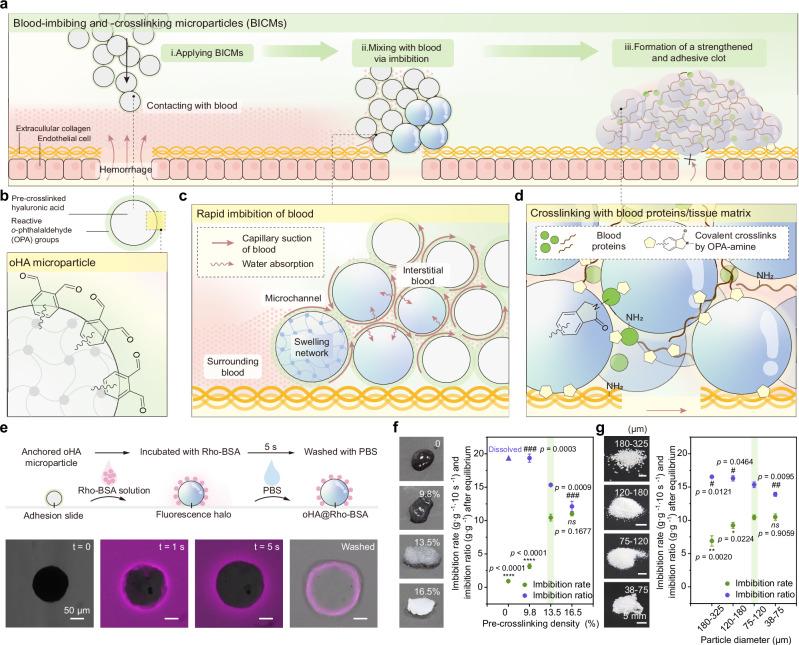 https://cdn.ncbi.nlm.nih.gov/pmc/blobs/faf1/12008190/ee5a3af150f3/41467_2025_58204_Fig1_HTML.jpg