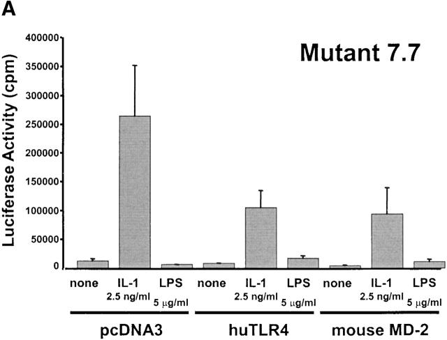 https://cdn.ncbi.nlm.nih.gov/pmc/blobs/faf1/2193443/1da4341a13df/JEM002073.f2a.jpg