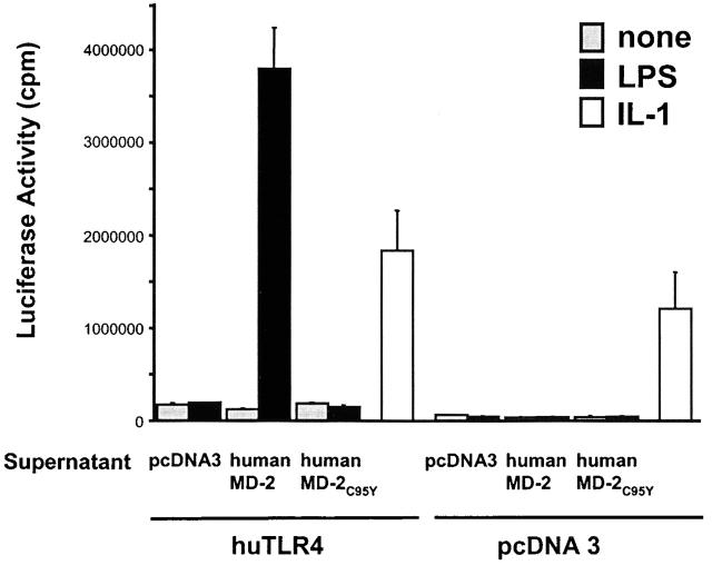 https://cdn.ncbi.nlm.nih.gov/pmc/blobs/faf1/2193443/7f071e650823/JEM002073.f9.jpg