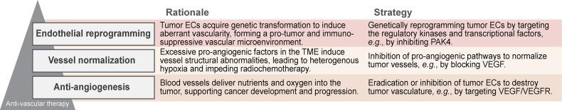https://cdn.ncbi.nlm.nih.gov/pmc/blobs/faf1/8720970/9965596b4313/fimmu-12-811485-g002.jpg