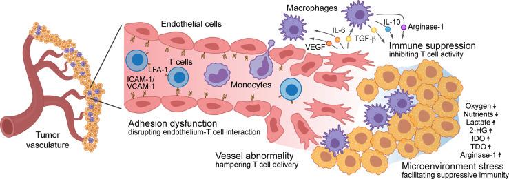 https://cdn.ncbi.nlm.nih.gov/pmc/blobs/faf1/8720970/ae05ba4cbc3d/fimmu-12-811485-g001.jpg