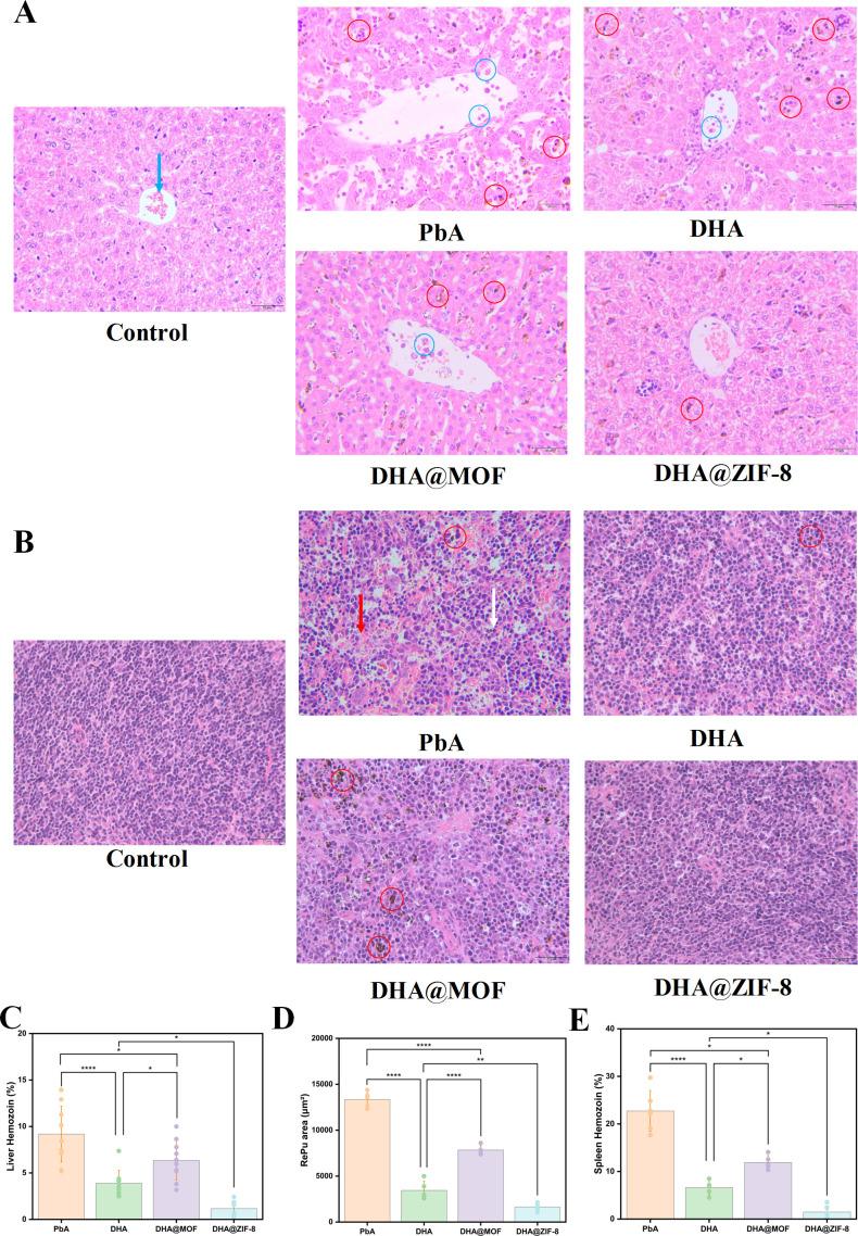 https://cdn.ncbi.nlm.nih.gov/pmc/blobs/faf2/12211061/a1420203966d/spectrum.02366-24.f004.jpg