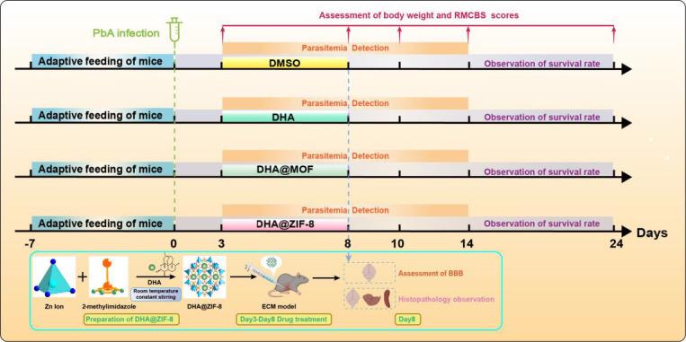 https://cdn.ncbi.nlm.nih.gov/pmc/blobs/faf2/12211061/aa1fb0f67b6f/spectrum.02366-24.f001.jpg