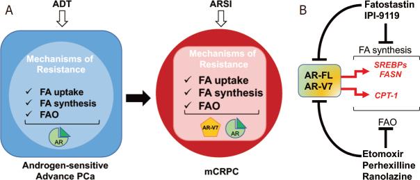 https://cdn.ncbi.nlm.nih.gov/pmc/blobs/faf4/9019185/994b00167043/cdr-4-143.fig.2.jpg