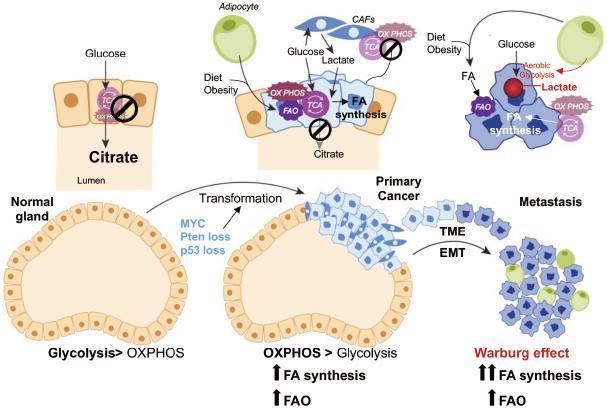 https://cdn.ncbi.nlm.nih.gov/pmc/blobs/faf4/9019185/cf5f11137c78/cdr-4-143.fig.1.jpg
