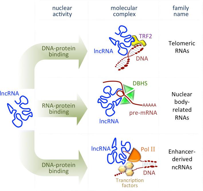 https://cdn.ncbi.nlm.nih.gov/pmc/blobs/faf5/11105438/071ae2c5519e/18_2018_3000_Fig1_HTML.jpg