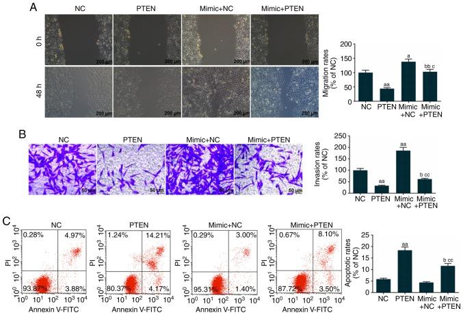 https://cdn.ncbi.nlm.nih.gov/pmc/blobs/faf6/6657975/c271c72ef656/IJMM-44-03-0973-g04.jpg