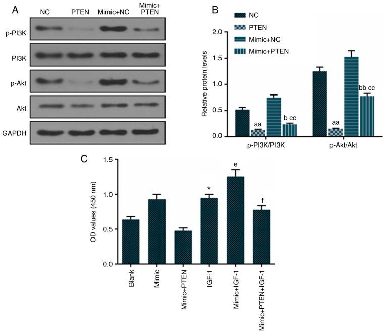 https://cdn.ncbi.nlm.nih.gov/pmc/blobs/faf6/6657975/d40bd74874bd/IJMM-44-03-0973-g05.jpg