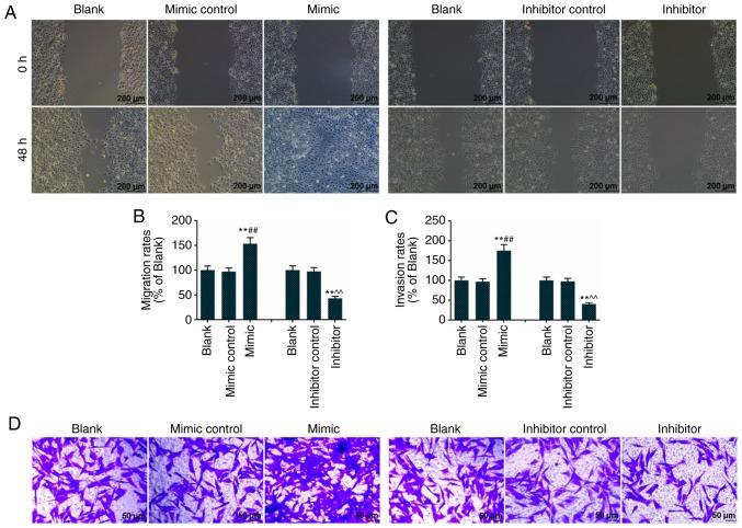 https://cdn.ncbi.nlm.nih.gov/pmc/blobs/faf6/6657975/e6b4bd8ce065/IJMM-44-03-0973-g02.jpg