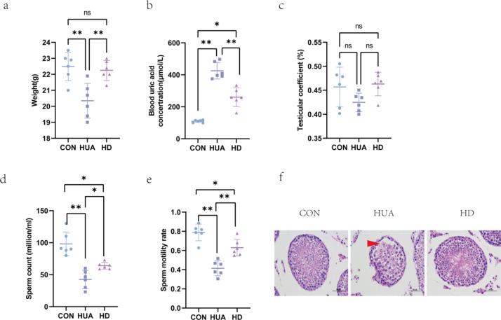 https://cdn.ncbi.nlm.nih.gov/pmc/blobs/faf7/12037722/10677c78ae7c/41598_2025_95846_Fig1_HTML.jpg