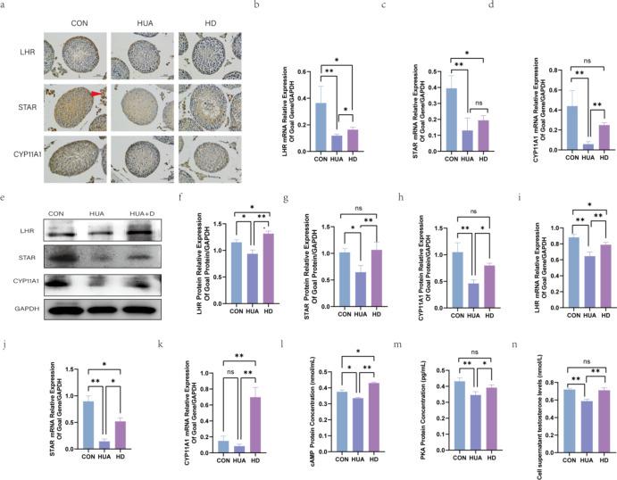 https://cdn.ncbi.nlm.nih.gov/pmc/blobs/faf7/12037722/41c7e55503fb/41598_2025_95846_Fig3_HTML.jpg