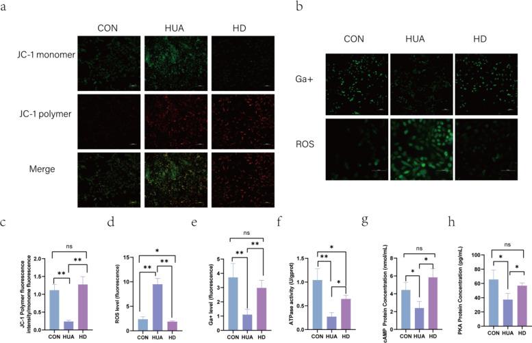 https://cdn.ncbi.nlm.nih.gov/pmc/blobs/faf7/12037722/49e8be1d3979/41598_2025_95846_Fig6_HTML.jpg