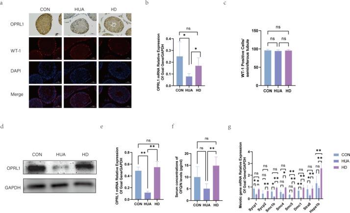 https://cdn.ncbi.nlm.nih.gov/pmc/blobs/faf7/12037722/4ff356d0d54a/41598_2025_95846_Fig5_HTML.jpg