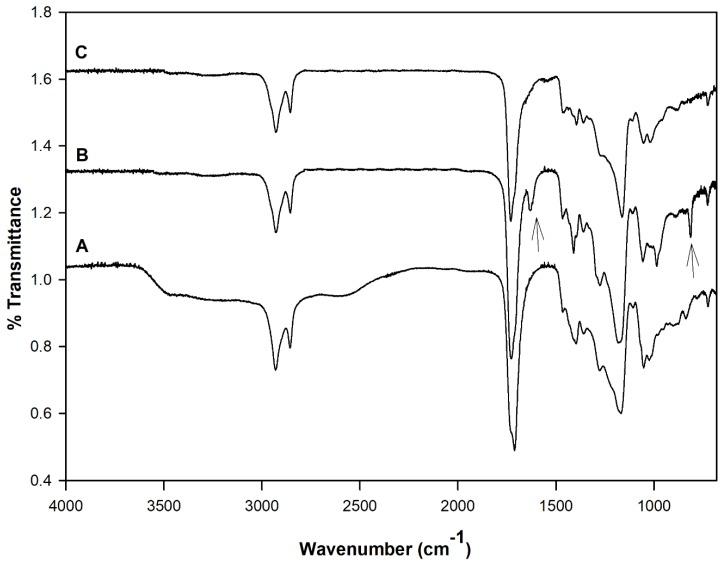 https://cdn.ncbi.nlm.nih.gov/pmc/blobs/faf7/6415264/62ec2de57054/polymers-10-00455-g002.jpg