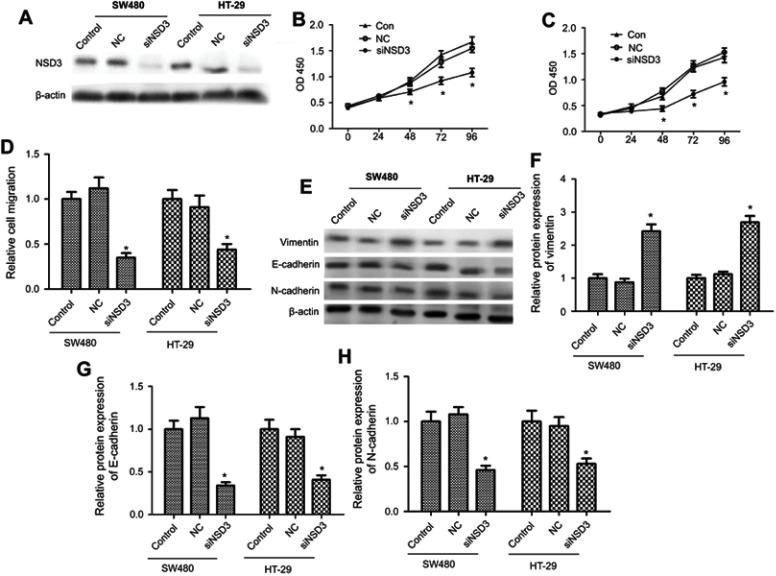 https://cdn.ncbi.nlm.nih.gov/pmc/blobs/faf8/6535100/6fb2b20d6b32/OTT-12-3933-g0002.jpg