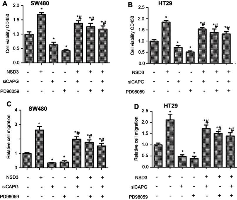 https://cdn.ncbi.nlm.nih.gov/pmc/blobs/faf8/6535100/d8d570d3dfbe/OTT-12-3933-g0005.jpg