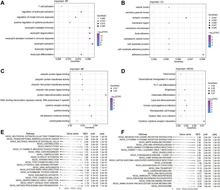 https://cdn.ncbi.nlm.nih.gov/pmc/blobs/faf8/8274709/d7f1f9abc3cc/IJGM-14-3213-g0004.jpg